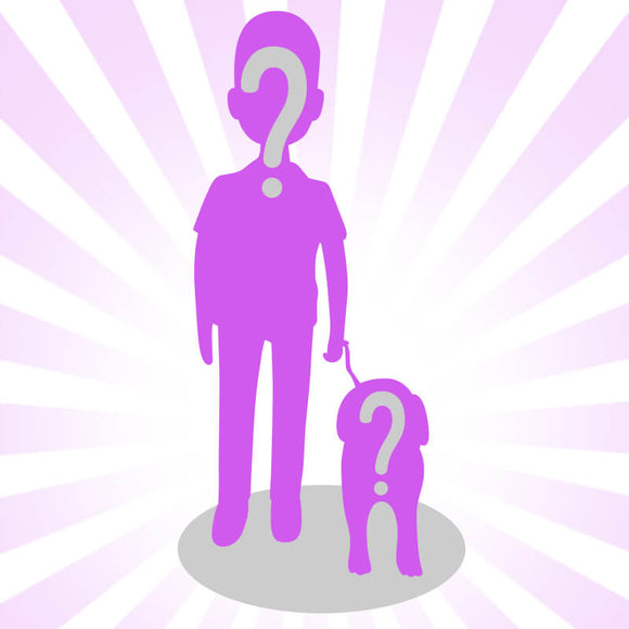 Create Father Bobblehead With A Pet